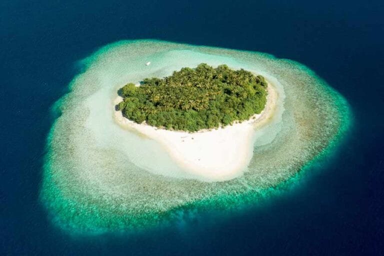 ‘मुइज्जू के नेतृत्व में मालदीव में शुरू हुआ भारत विरोधी अभियान’, यूरोपीय संघ ने क्यों किया दावा?