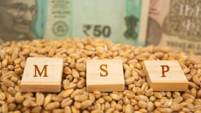 आखिर सरकार के MSP वाले बिंदु पर क्यों राजी नहीं हो रहे किसान?