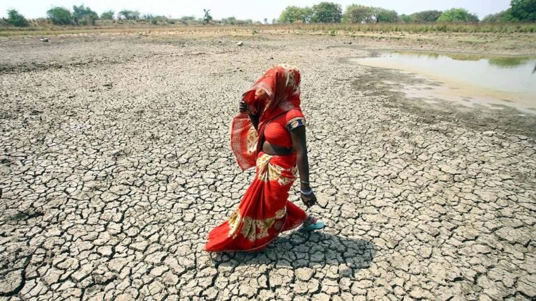 क्या इस साल बढ़ जाएगा हद से ज्यादा तापमान ?