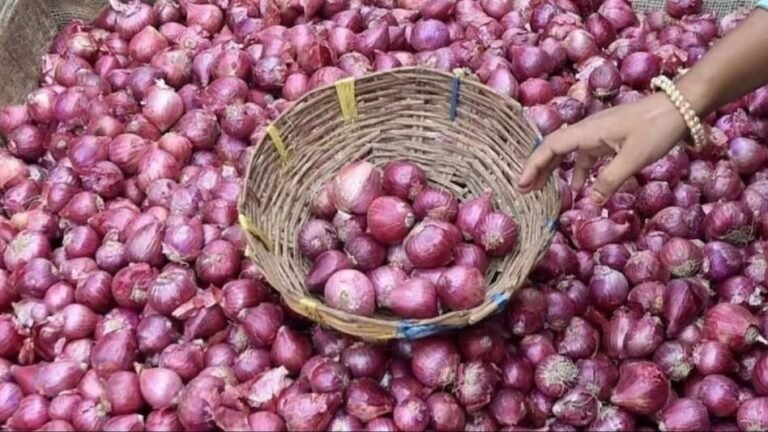 क्या अब प्याज के निर्यात पर लगा प्रतिबंध बढ़ जाएगा?