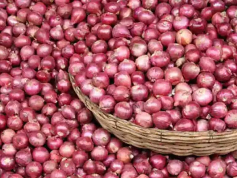 आखिर क्या है चुनावों का प्याज कनेक्शन?