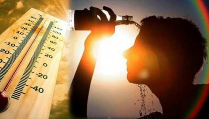 1080228-d-vcgdv-cnhdsvm