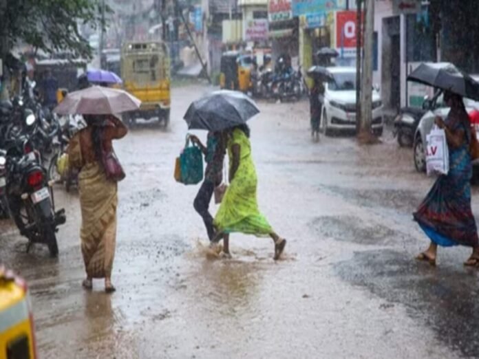 rajasthan_rainfall_1715413941