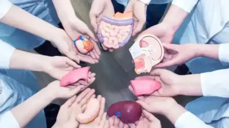 क्या अब ऑर्गन ट्रांसपोर्टेशन को आ गए हैं नए नियम?