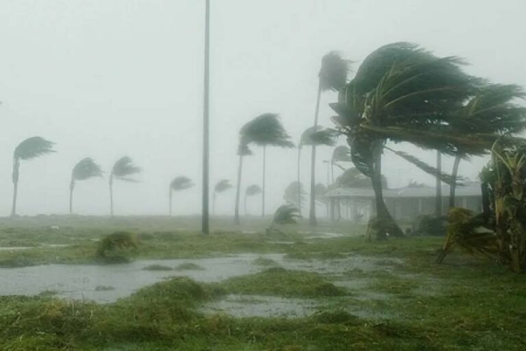 चक्रवात ‘दाना’ के दौरान इनकी होती है सबसे ज्यादा जरूरत, क्या रखें हाथ में?