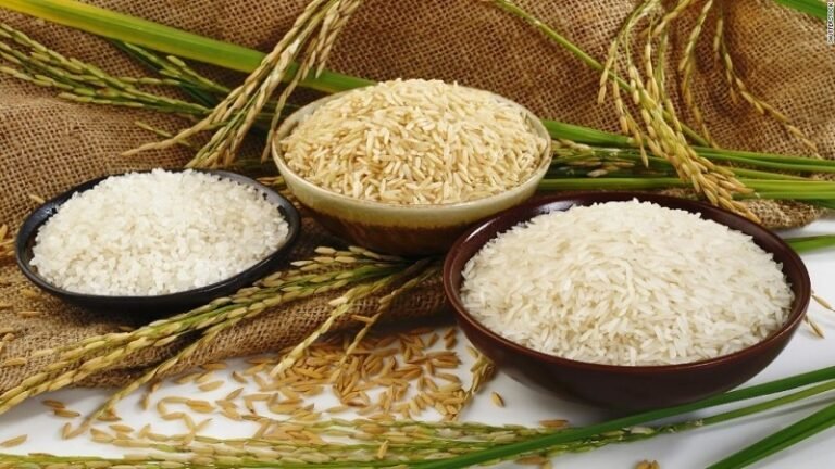 क्या भारत के लिए जरूरी हो चुका है फोर्टिफाइड चावल?