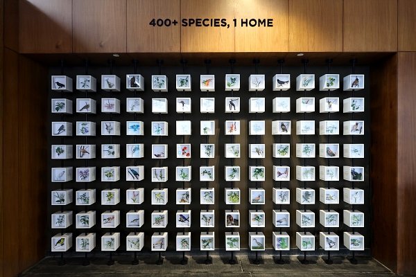 Shapoorji Pallonji Real Estate Unveils the 'Coexistence with Flora & Fauna' Mural at VANAHA, Pune