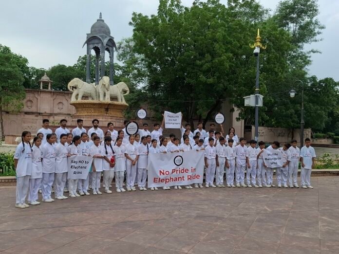 World Animal Protection Appeals to Chief Minister of Rajasthan to End Elephant Rides on Occasion of World Elephant Day